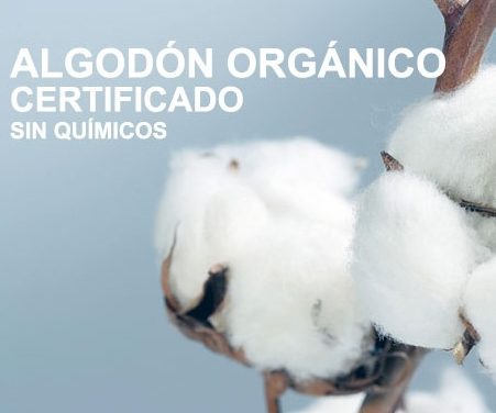 Algodón orgánico